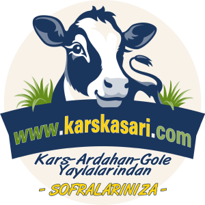 www.karskasari.com